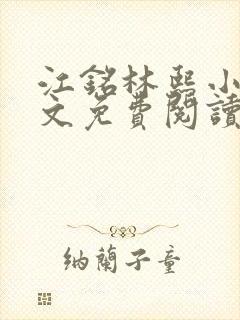 江铭林熙小说全文免费阅读