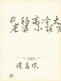 我的高冷大小姐老婆 小说完整