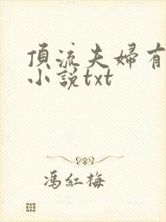 顶流夫妇有点甜小说txt
