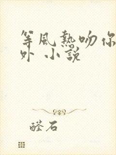 等风热吻你·番外 小说