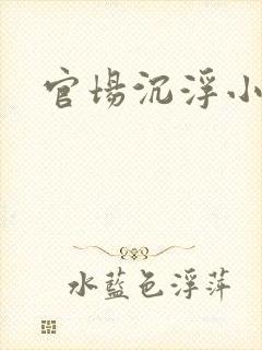 官场沉浮小说