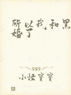 所以我和黑粉结婚了