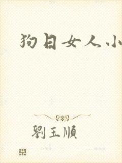 狗日女人小说