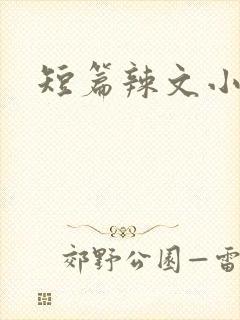 短篇辣文小说