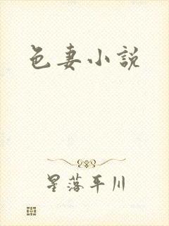 色妻小说封面