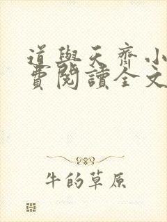 道与天齐小说免费阅读全文