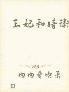 王妃和暗卫野H封面