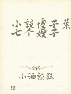 小说傻子叶凡和七个嫂子封面