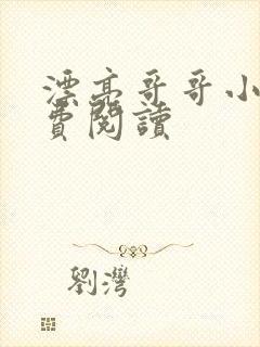 漂亮哥哥小说免费阅读