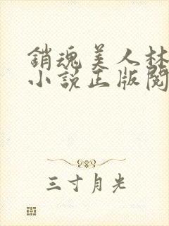 销魂美人林婷婉小说正版阅读封面