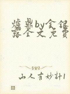 炉鼎by金银花露全文免费阅读笔趣阁封面