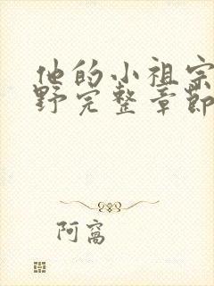 他的小祖宗甜又野完整章节下载