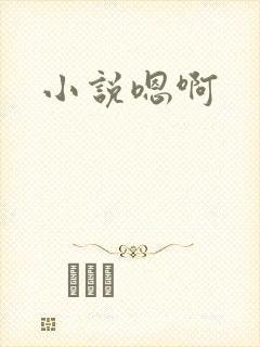 小说嗯啊