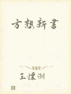 方想新书