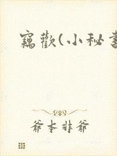 窃欢(小秘书)