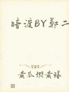 暗渡BY郑二封面
