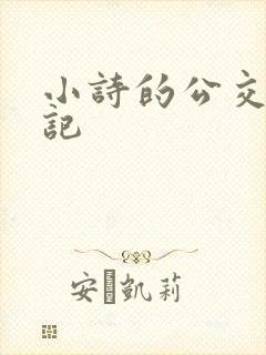 小诗的公交车日记