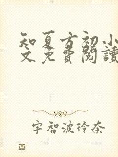 知夏方初小说全文免费阅读最新章节封面