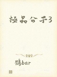 极品公子3