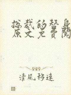 总裁的替身前妻原文免费阅读