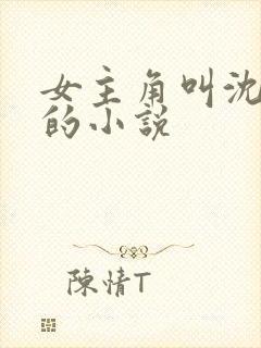 女主角叫沈初夏的小说