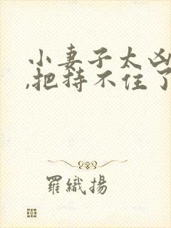 小妻子太凶陆爷,把持不住了免费阅读小说封面