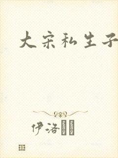 大宋私生子封面