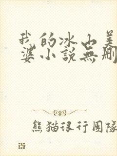 我的冰山美女老婆小说无删减版