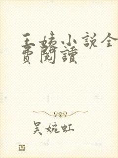 王姨小说全文免费阅读封面