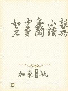 如少年小说全文免费阅读无弹窗