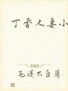 丁香人妻小说