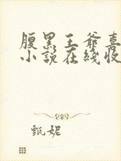 腹黑王爷喜当爹小说在线收听