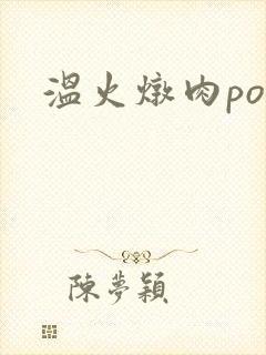 温火炖肉pop