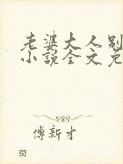 老婆大人别想逃小说全文免费阅读