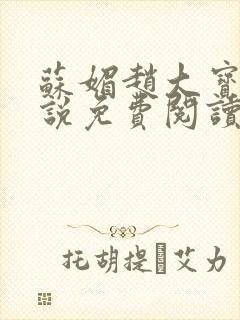 苏媚赵大宝的小说免费阅读全文