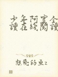 少年阿宾全文阅读在线阅读全文第一季
