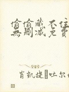 偷偷藏不住全文无删减免费阅读封面