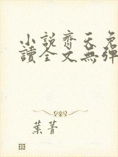 小说齐天免费阅读全文无弹窗封面