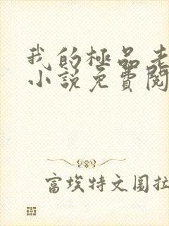 我的极品老婆们小说免费阅读
