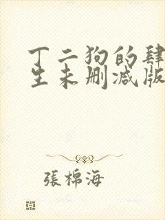 丁二狗的肆意人生未删减版封面