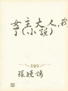 女主大人,我错了(小说)