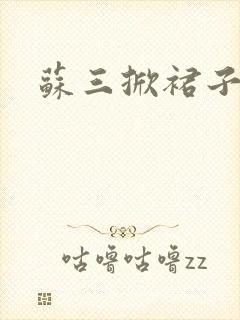 苏三掀裙子封面