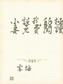 小说我的极品娇妻免费阅读全文