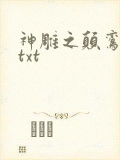 神雕之颠鸾倒凤txt封面