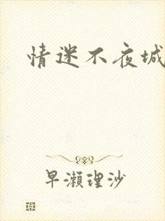 情迷不夜城