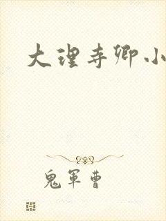 大理寺卿小说