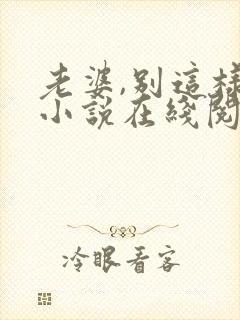 老婆,别这样 小说在线阅读