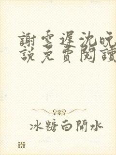 谢云迟沈晚黎小说免费阅读最新章节封面
