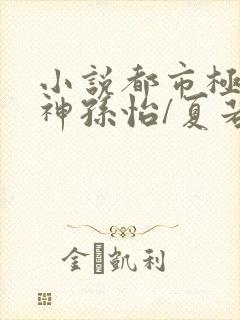 小说都市极品医神孙怡/夏若雪全篇