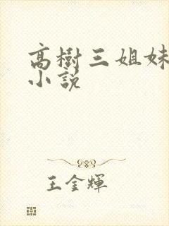 高树三姐妹有声小说封面